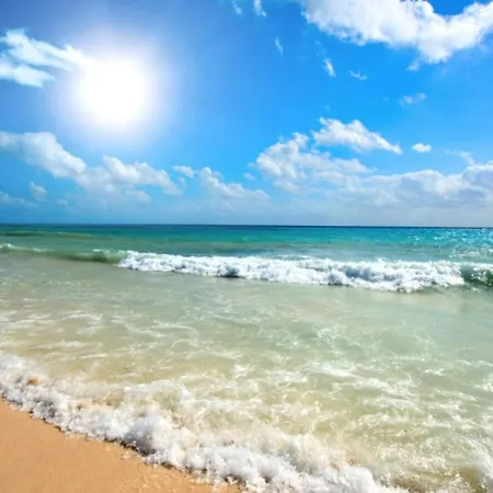 Anita A3 Cosy Sunny * 써니비치